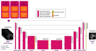 Finding the limits of deep learning clinical sensitivity with fractional anisotropy (FA) microstructure maps